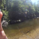 Review photo of Davidson River Campground by Ross B., August 7, 2016