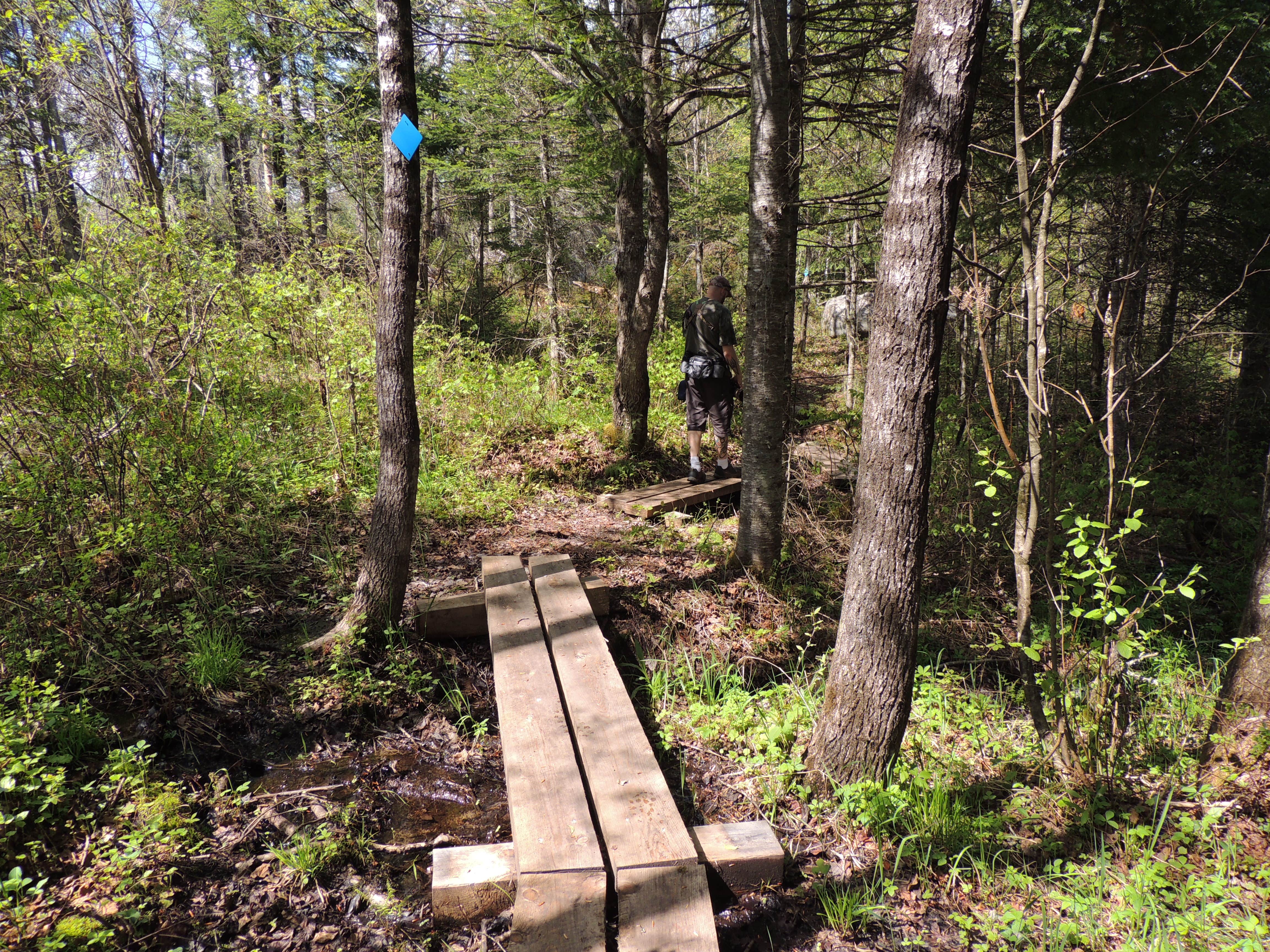 Camper submitted image from Brighton State Park Campground - 5