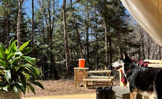 The Dyrt's photo of camping with pets at Tentrr Signature Site - The Landing near Green Mountain National Forest