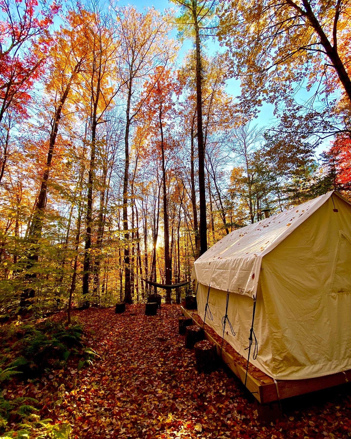 The Dyrt's photo at Tentrr Signature Site - Sugar Shack near Mendon, VT