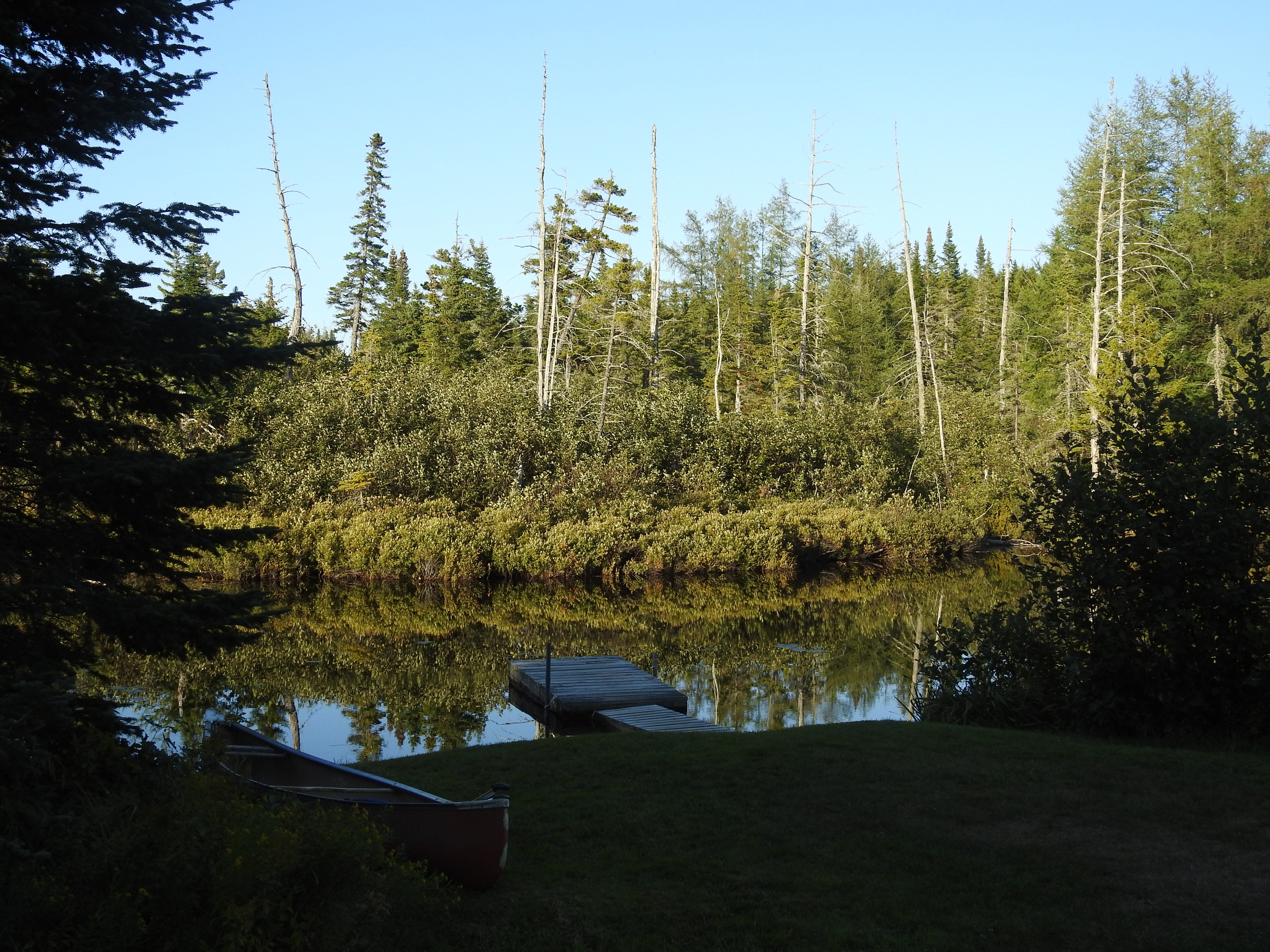 Camper submitted image from Lone Jack Campground — Cold Stream Forest - 5