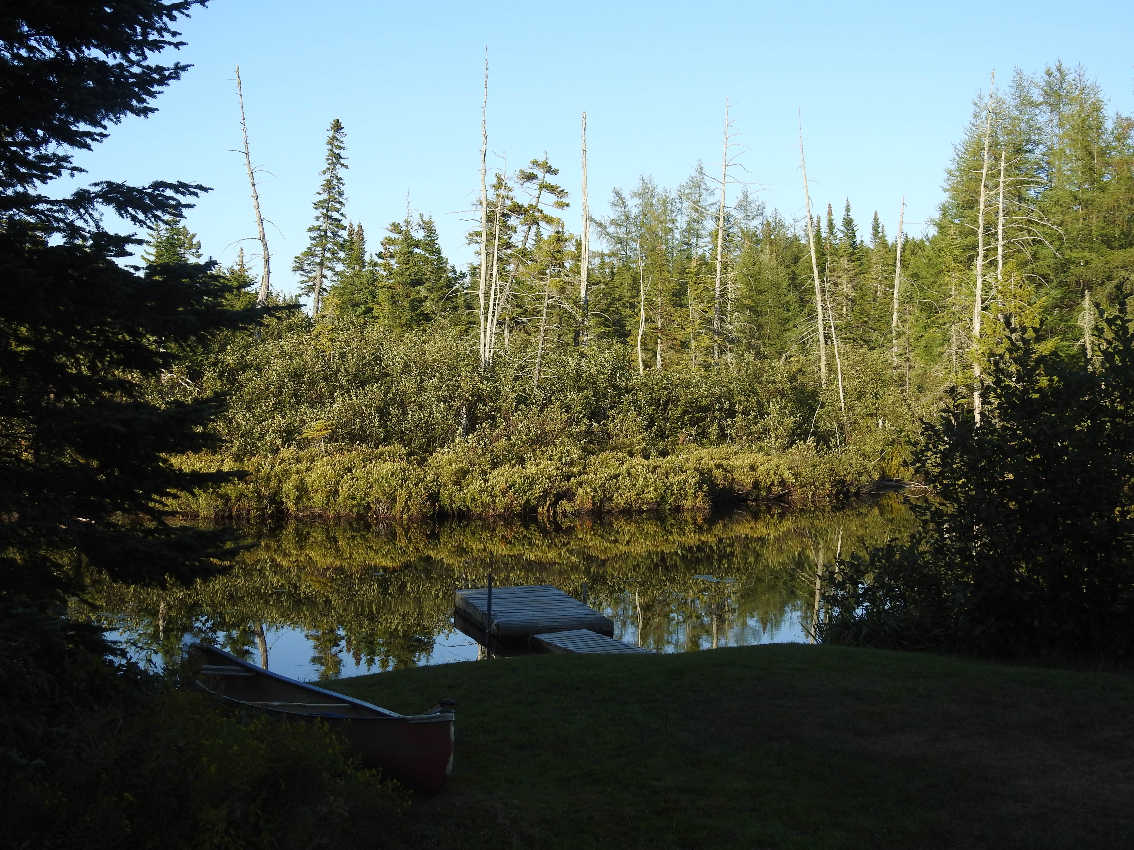 Camper submitted image from Lone Jack Campground — Cold Stream Forest - 5