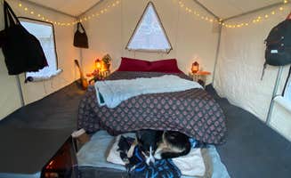 The Dyrt's photo of camping with pets at Tentrr Signature Site - Sugar Shack near Green Mountain National Forest