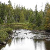 Review photo of Lone Jack Campground — Cold Stream Forest by Tina D., September 9, 2018