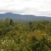 Review photo of Lone Jack Campground — Cold Stream Forest by Tina D., September 9, 2018