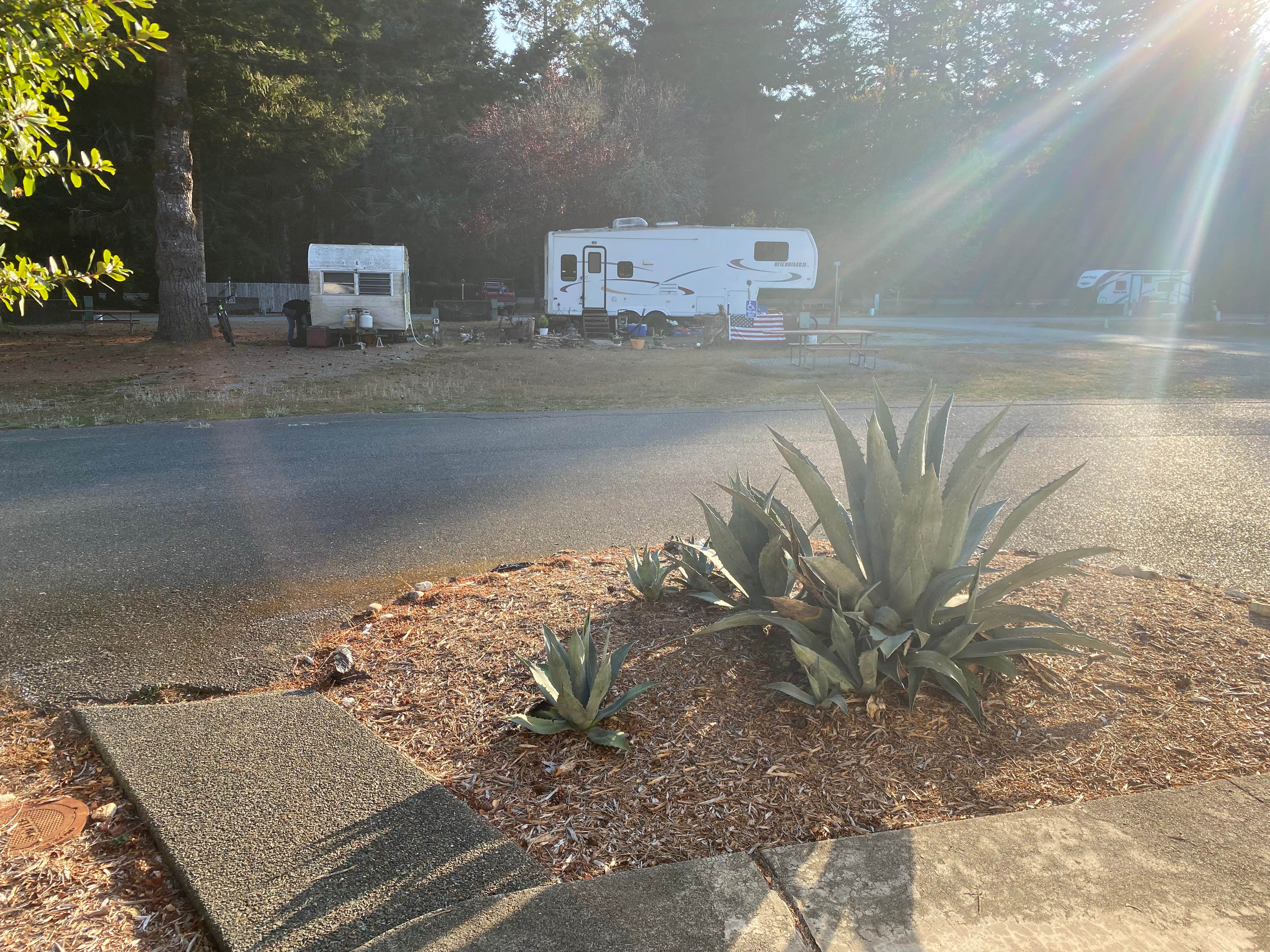 Amy & Stu B.'s photo of rv camping at Redwood Meadows RV Resort near Smith River, CA