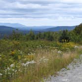 Review photo of Lone Jack Campground — Cold Stream Forest by Tina D., September 9, 2018