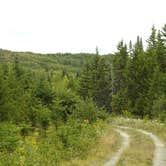 Review photo of Lone Jack Campground — Cold Stream Forest by Tina D., September 9, 2018