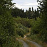 Review photo of Lone Jack Campground — Cold Stream Forest by Tina D., September 9, 2018