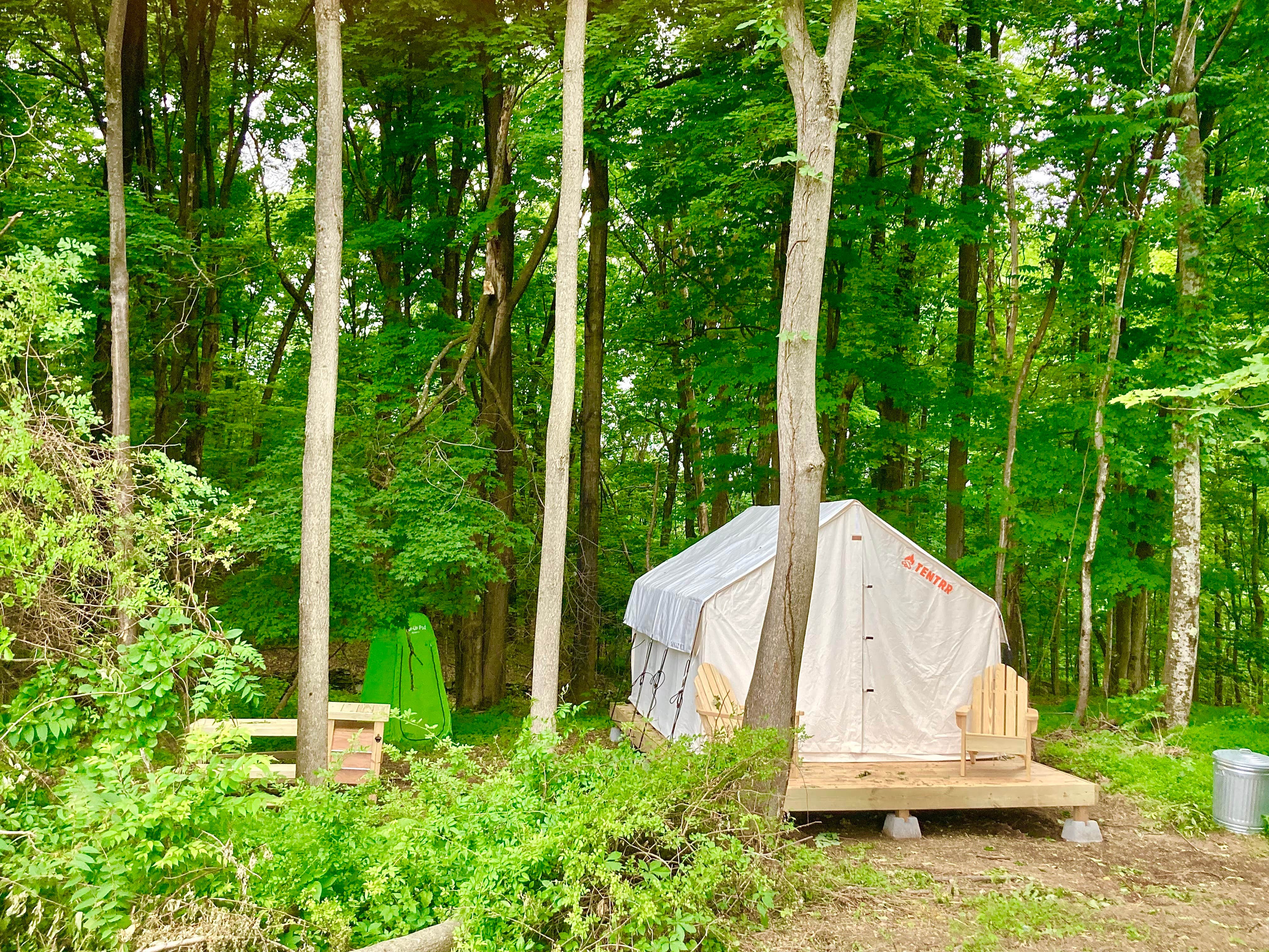 The Dyrt's photo at Tentrr Signature Site - FRISKY SWARD Upper Forest near Red Hook, NY