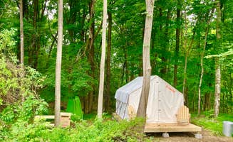 The Dyrt's photo at Tentrr Signature Site - FRISKY SWARD Upper Forest near Tivoli, NY
