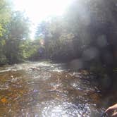 Review photo of Davidson River Campground by Ross B., August 7, 2016
