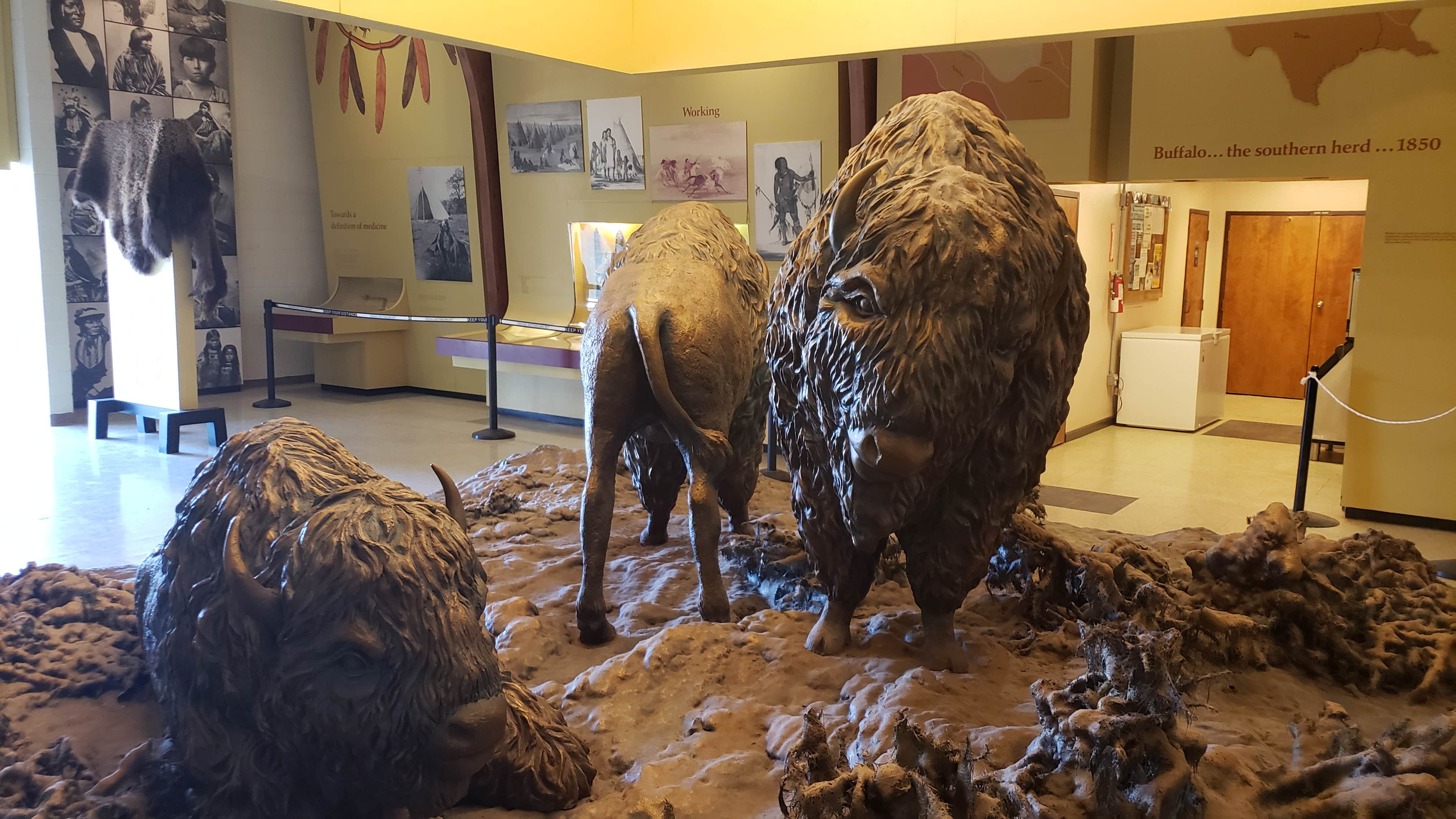 Rick G.'s photo of camping with pets at Copper Breaks State Park Campground near Estelline, TX