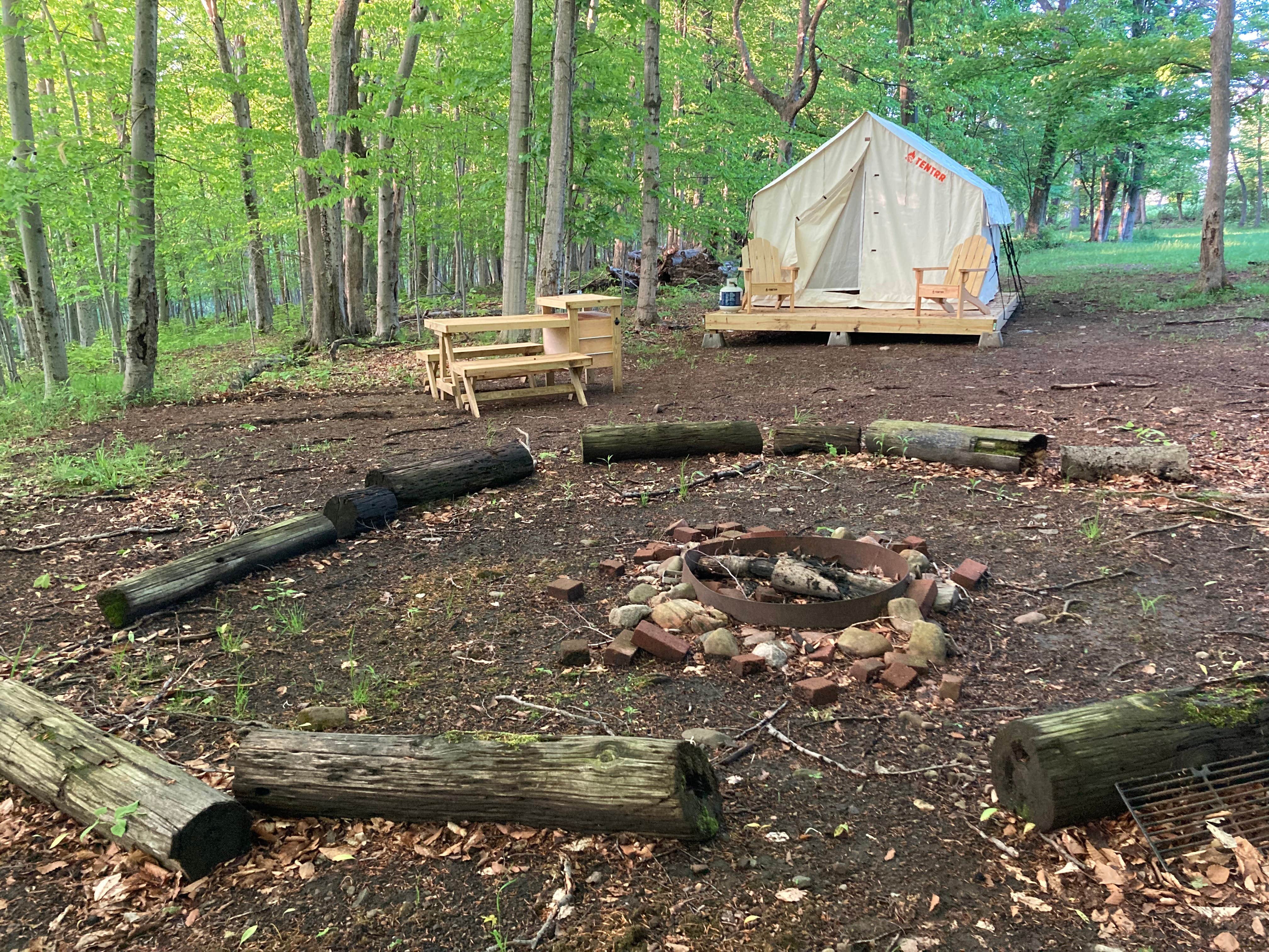 The Dyrt's photo at Tentrr Signature Site - Fern Gully near Adams Basin, NY