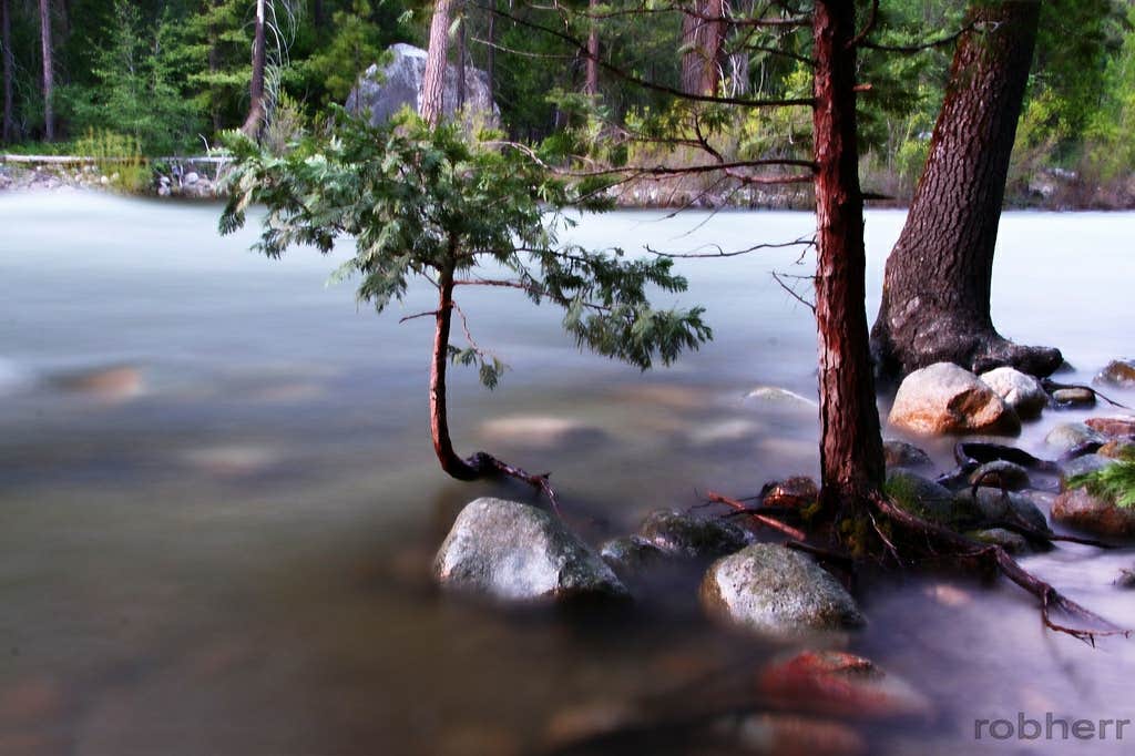 Camper-submitted photo at Sheep Creek Campground — Kings Canyon National Park near Independence, CA