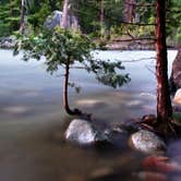 Review photo of Sheep Creek Campground — Kings Canyon National Park by robherr , September 9, 2018