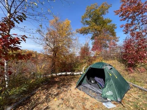 HollyRose M.'s photo of tent camping at Lake Twentyone Watercraft Site near Cass Lake, MN