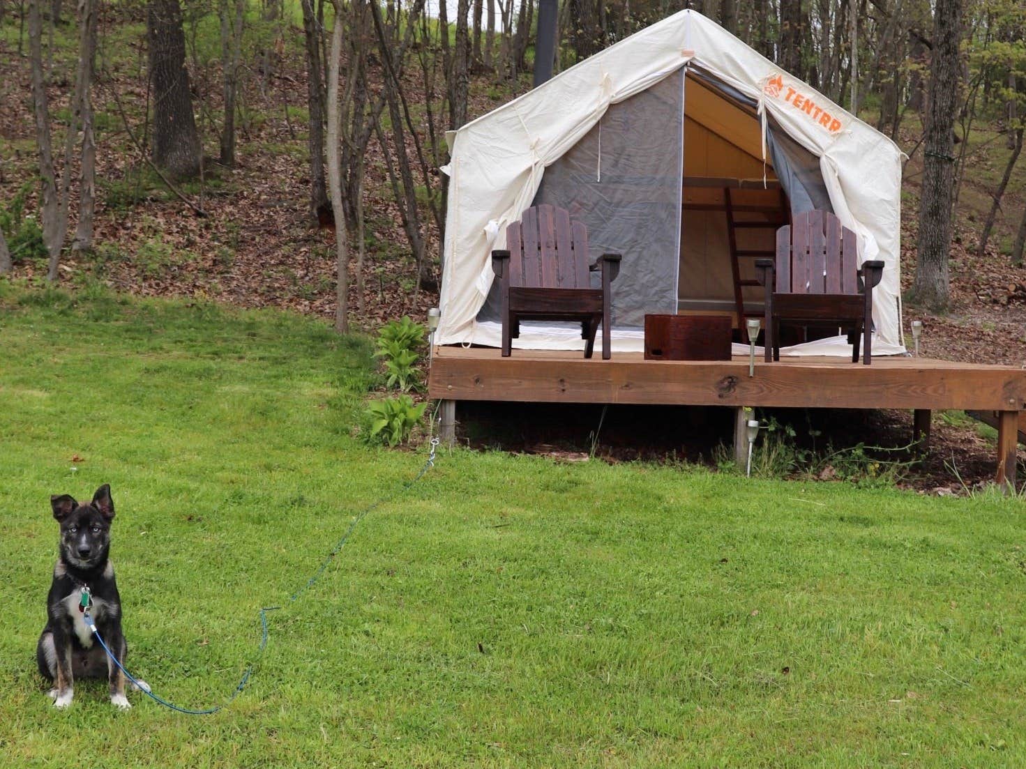 The Dyrt's photo at Tentrr Signature Site - The Algonquin Gitigaan near Mount Carmel, PA