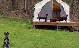 The Dyrt's photo at Tentrr Signature Site - The Algonquin Gitigaan near Mahanoy City, PA
