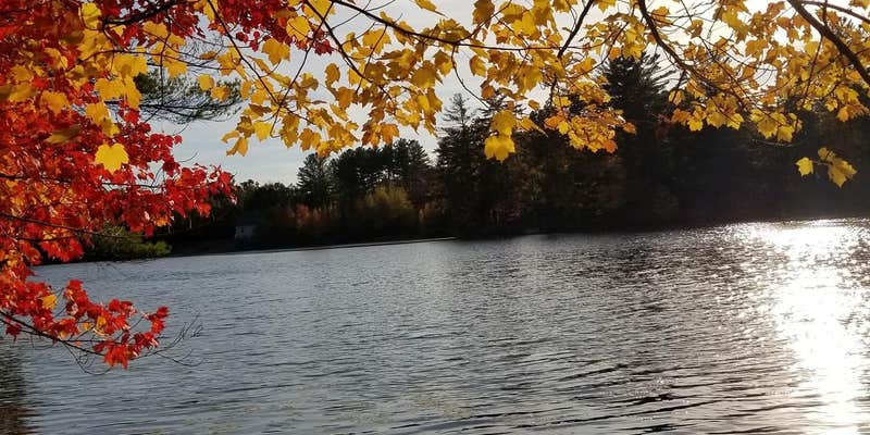 Camper submitted image from Autumn Hills Campground