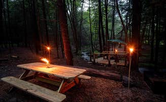 The Dyrt's photo at Tentrr Signature Site - Waterfall Paradise, Walking Distance to River near Cuddebackville, NY