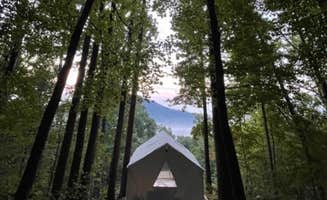 The Dyrt's photo at Tentrr Signature Site - Mountain View in Tryon near Saluda, NC