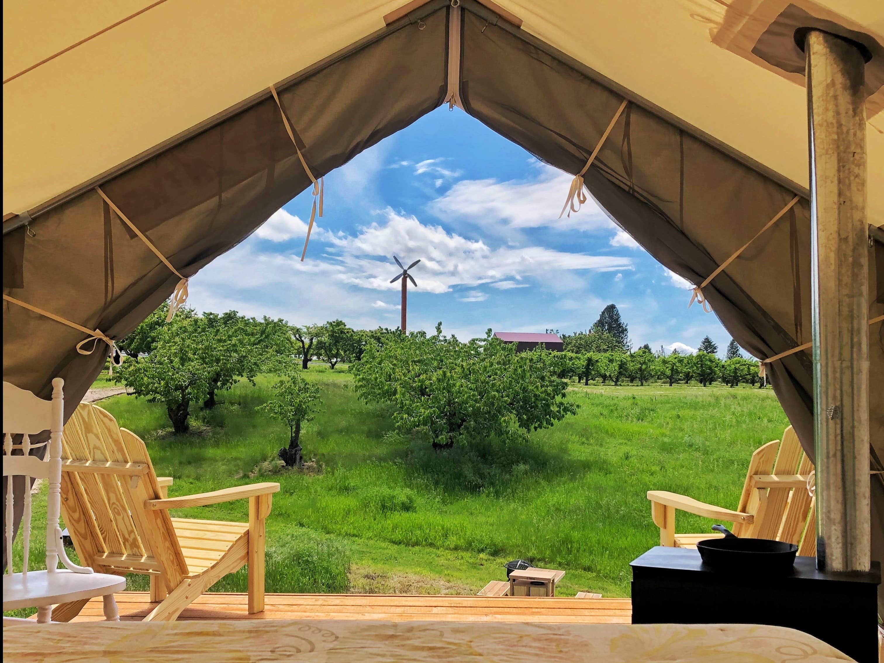 The Dyrt's photo at Tentrr Signature Site - Hidden Acres Orchards near Spokane Valley, WA