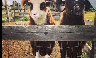 The Dyrt's photo of camping with pets at Tentrr Signature Site - Hidden Acres Orchards near Tumtum, WA