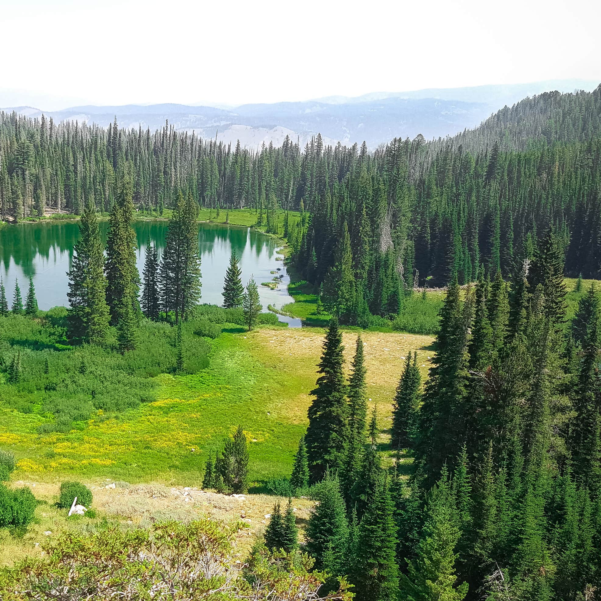 Decker Flats Dispersed Camping The Dyrt