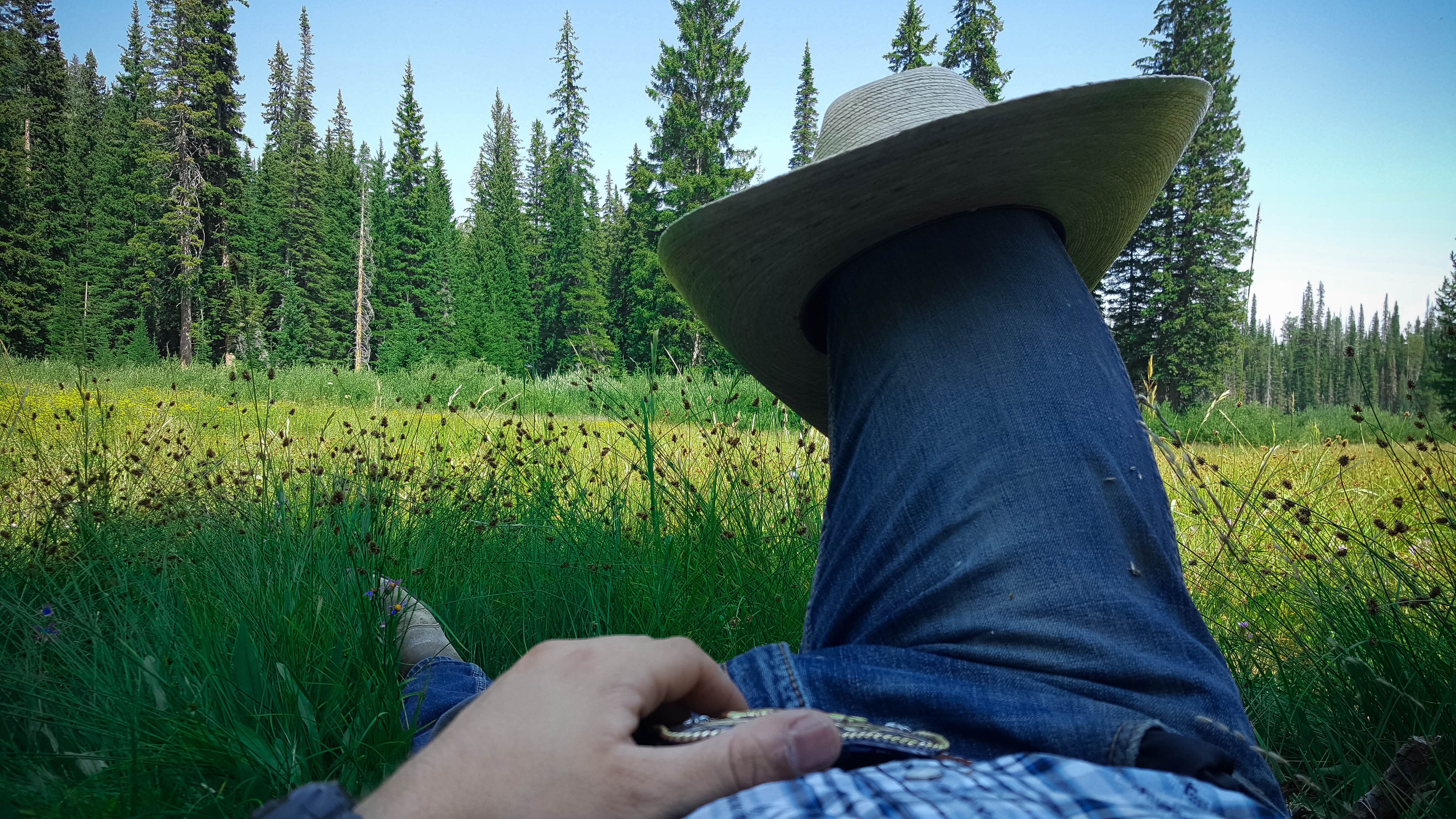 Camping near Salmon River Roadside Camp: Decker Flats Dispersed, Stanley, Idaho