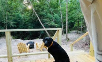 The Dyrt's photo of camping with pets at Tentrr Signature Site - Piney Woods Outpost near Village Mills, TX