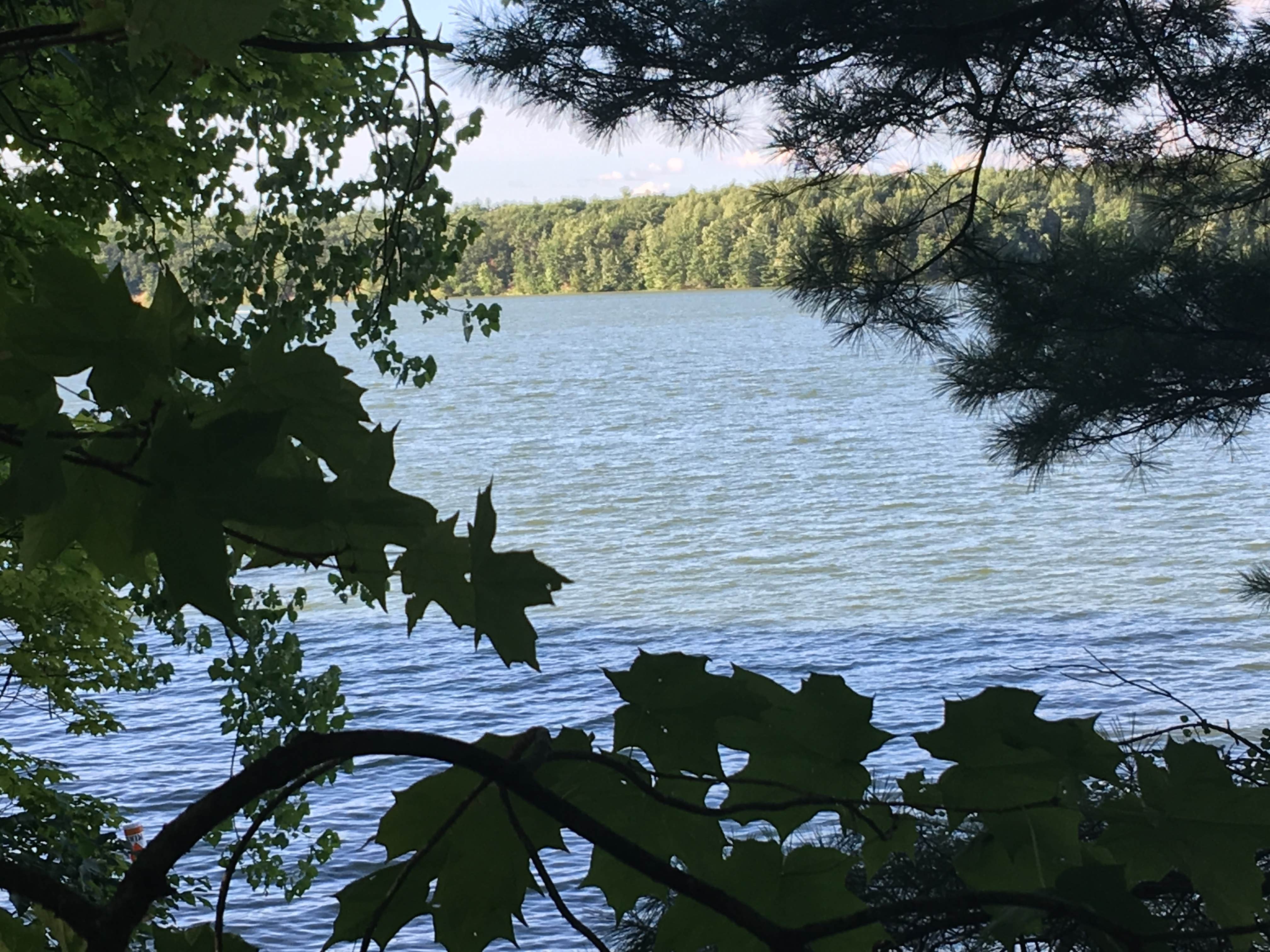 Camper submitted image from Newaygo State Park Campground - 5
