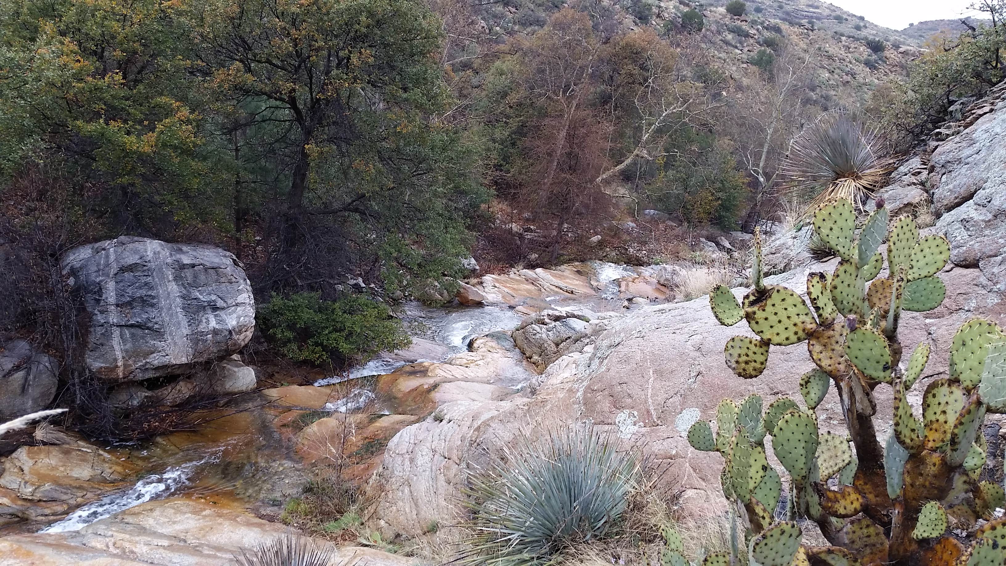 Escape to the Desert: Arizona's Riggs Flat Campground - Your Gateway to Adventure