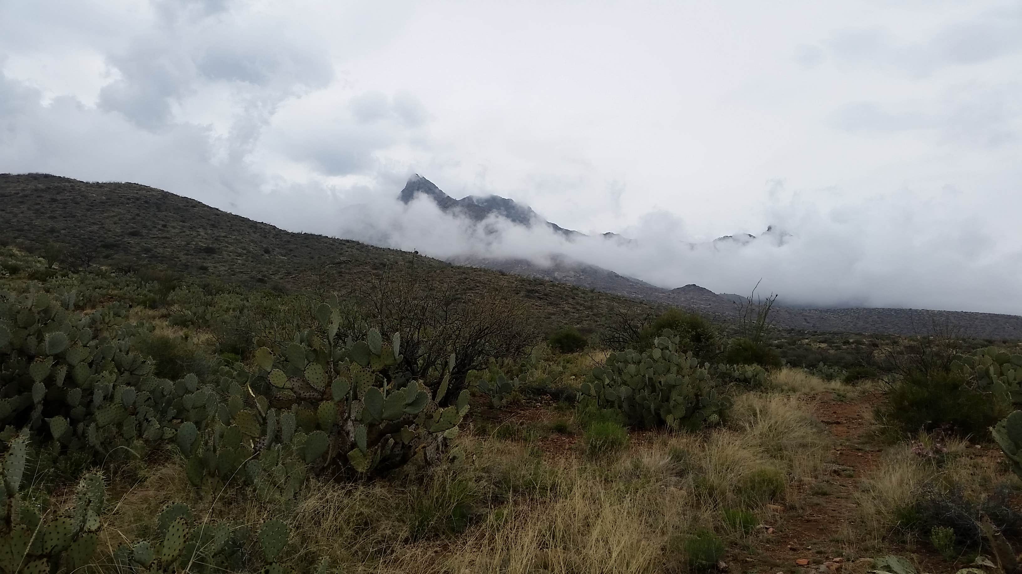 Camper-submitted photo at Riggs Flat Campground near Safford, AZ