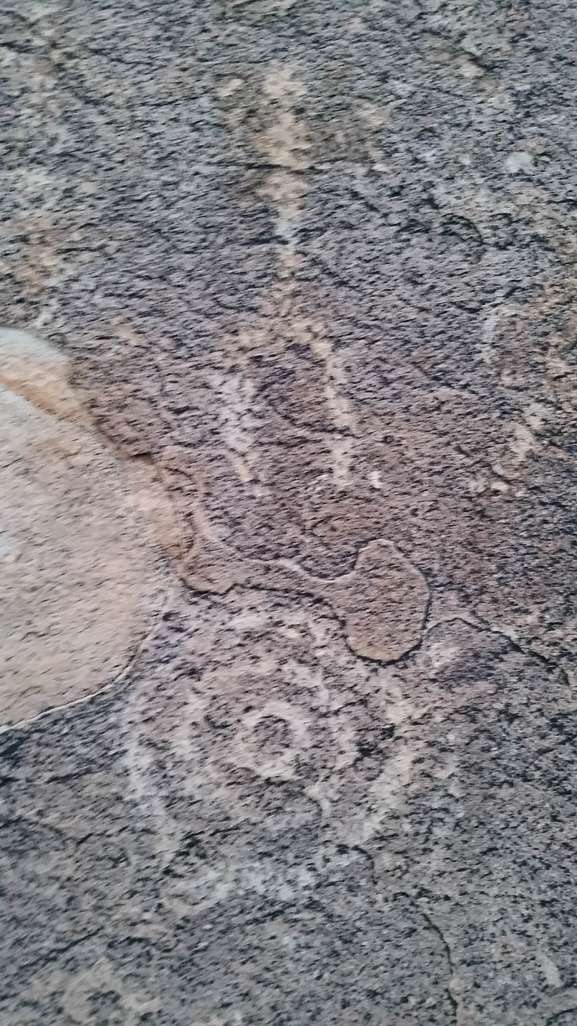 Camper-submitted photo at Riggs Flat Campground near Safford, AZ