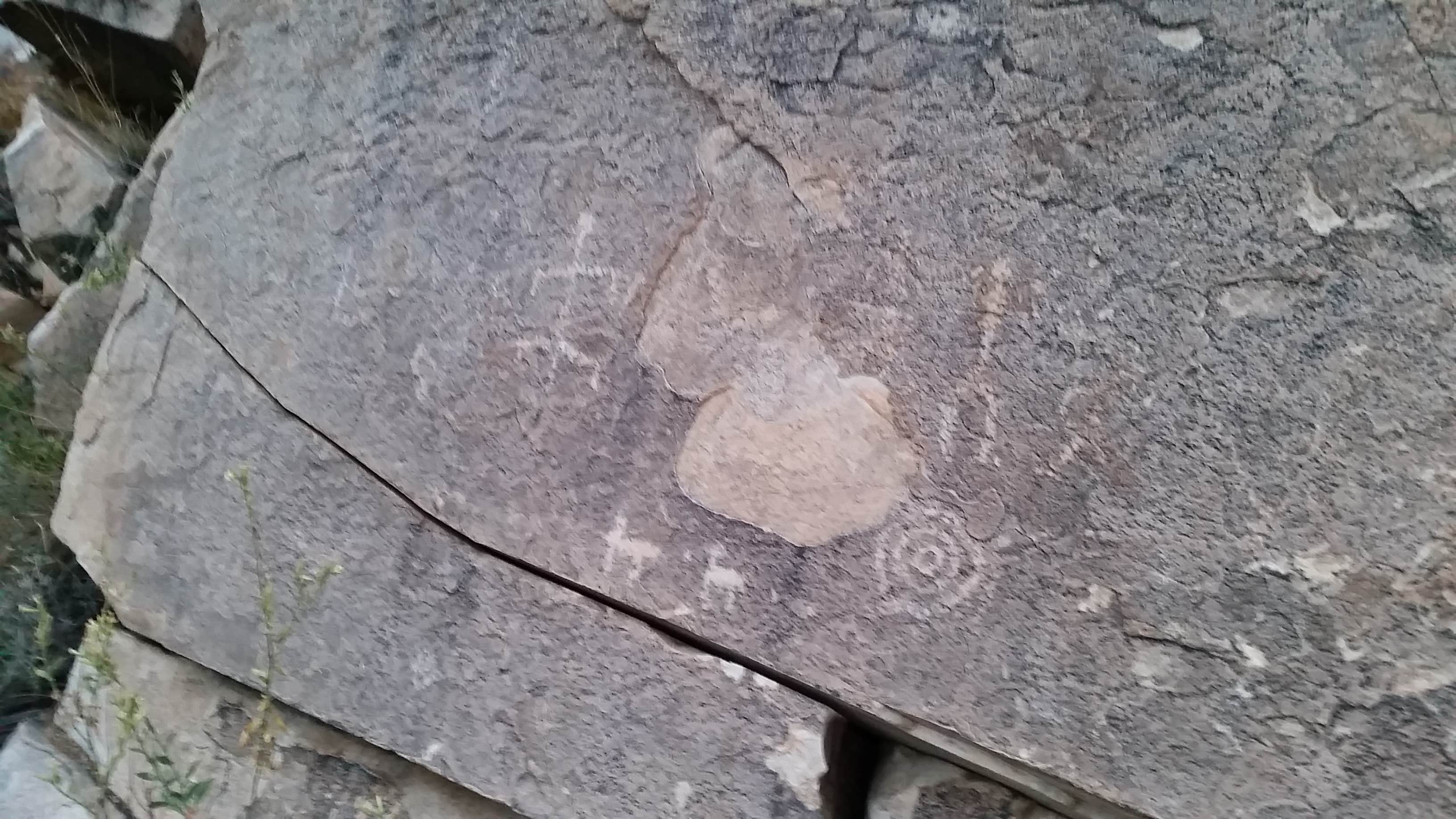 Camper-submitted photo at Riggs Flat Campground near Safford, AZ