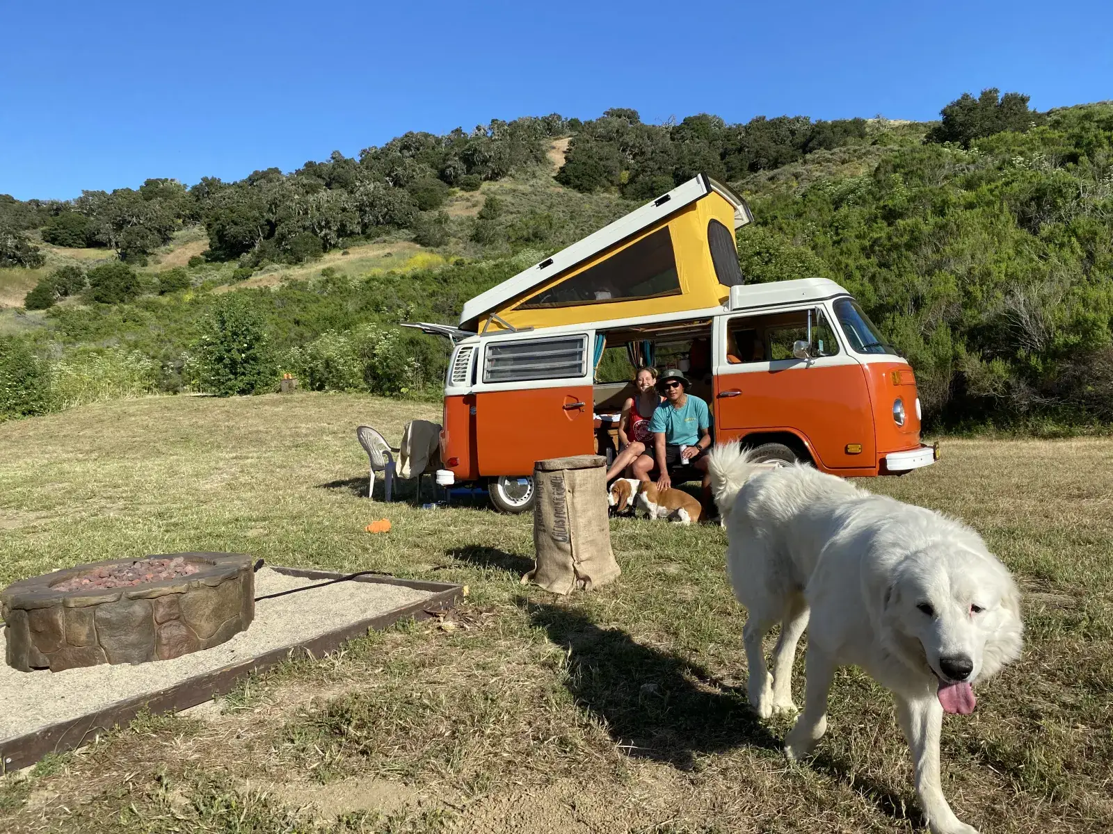 Camping near Refugio State Beach Campground: Camp Out @ Free Dog Farms, Solvang, California