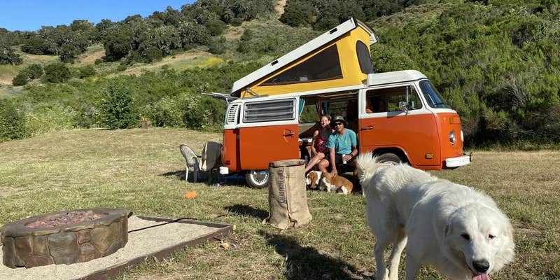 Camper submitted image from Camp Out @ Free Dog Farms