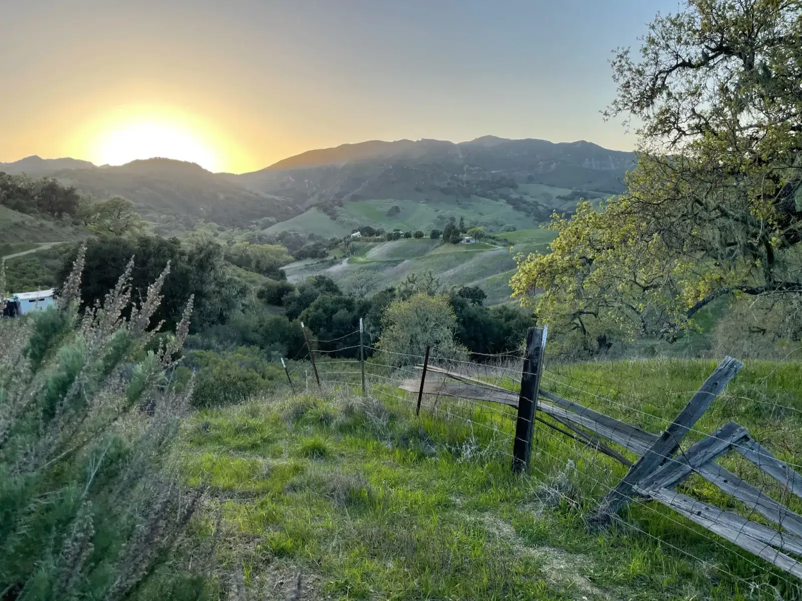 Camper-submitted photo at Camp Out @ Free Dog Farms near Buellton, CA