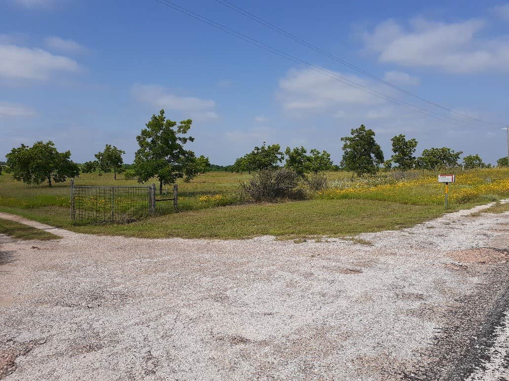 Camper submitted image from The Pecan Orchard - 1