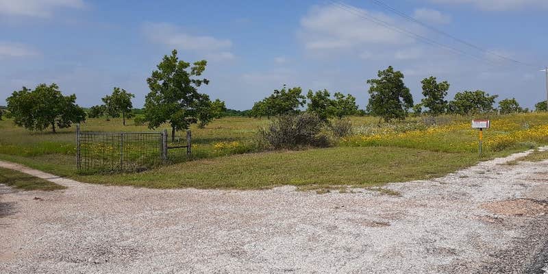 Camper submitted image from The Pecan Orchard
