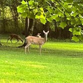 Review photo of Indian Creek Campground by Tammy M., October 20, 2022