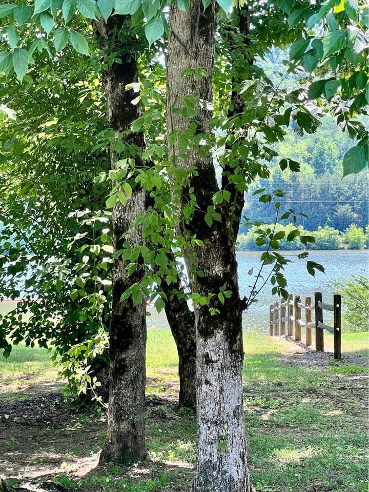 Camper-submitted photo at Indian Creek Campground near Granville, TN