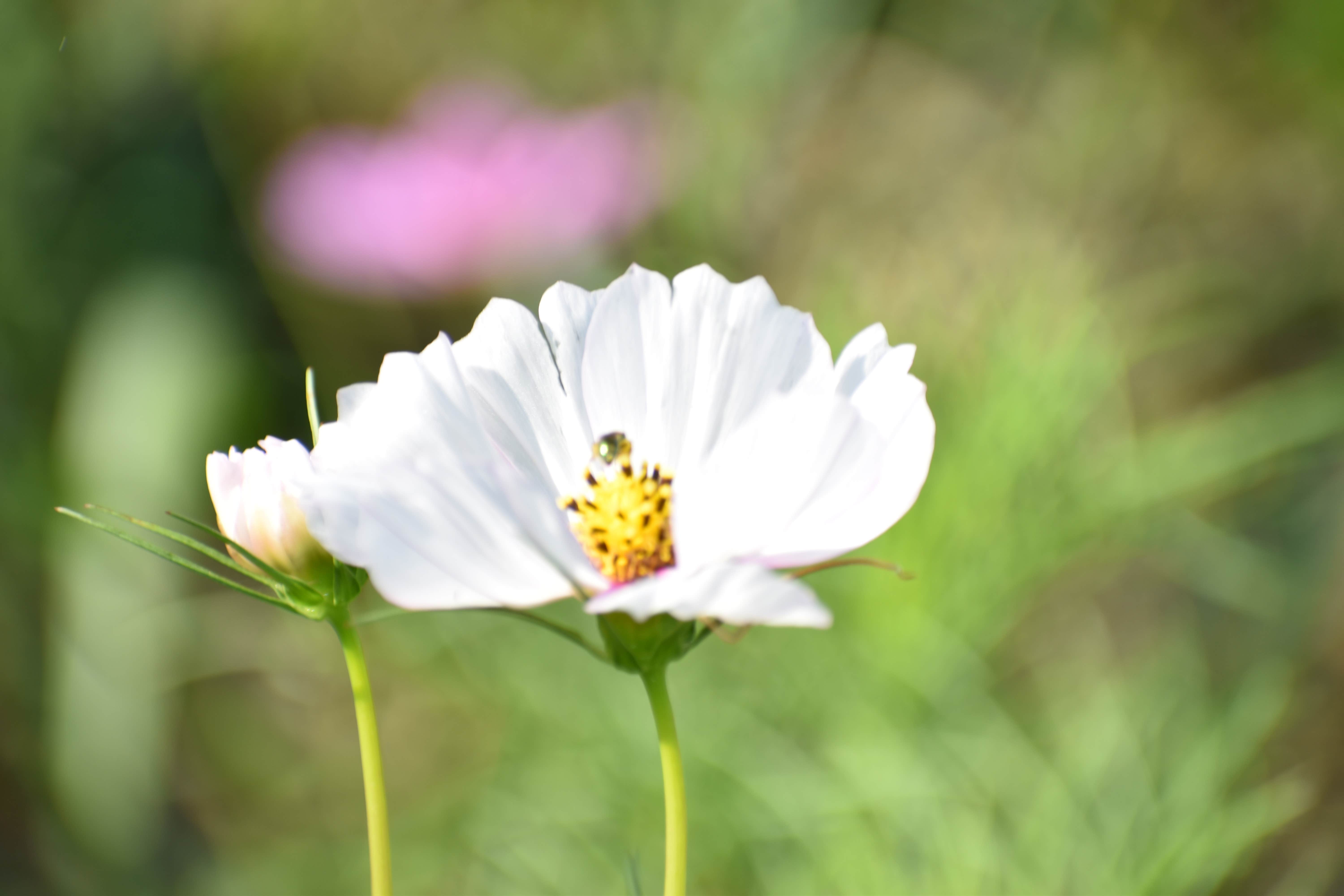 Camper-submitted photo at Indian Creek Campground near Lancaster, TN