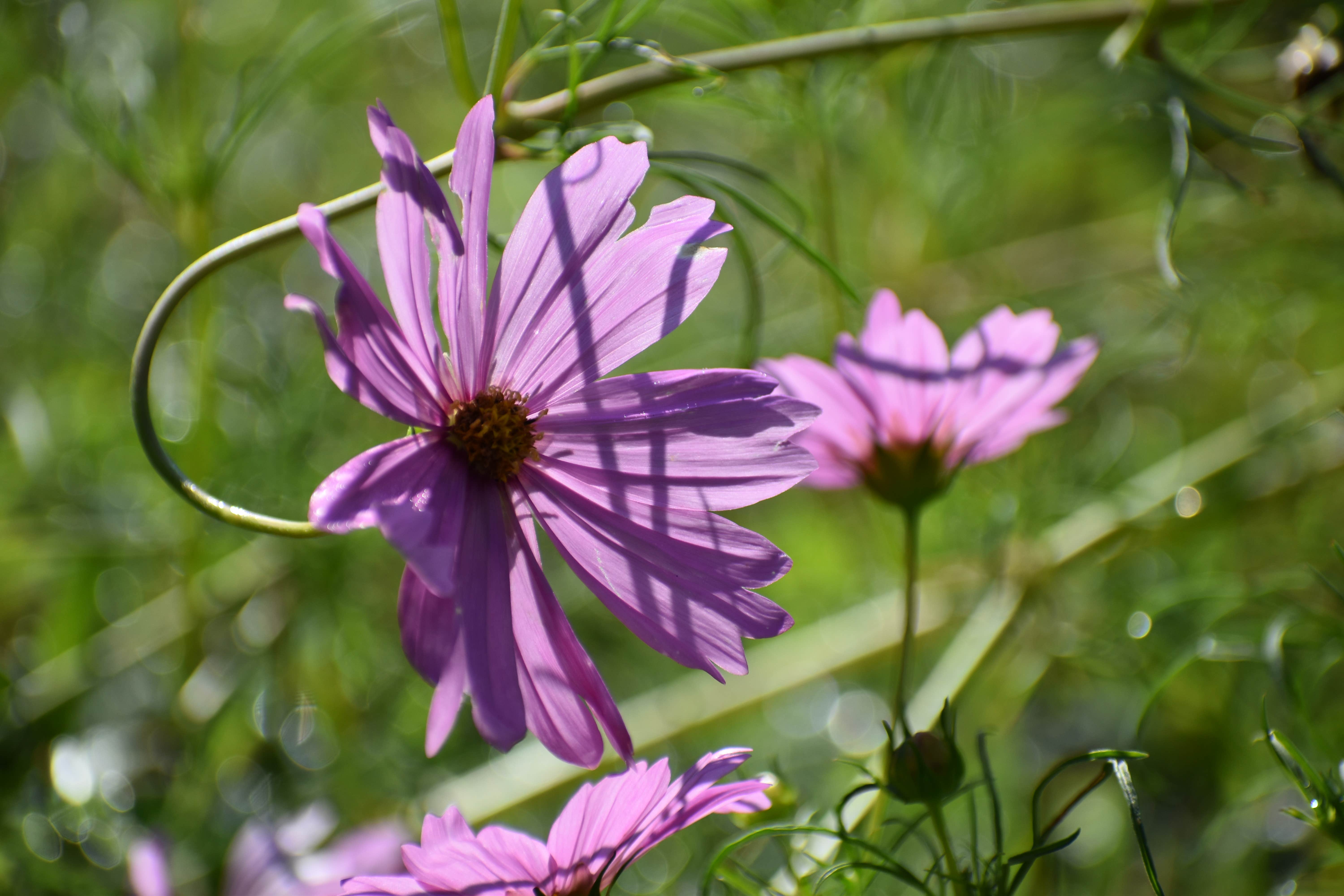 Camper-submitted photo at Indian Creek Campground near Lancaster, TN