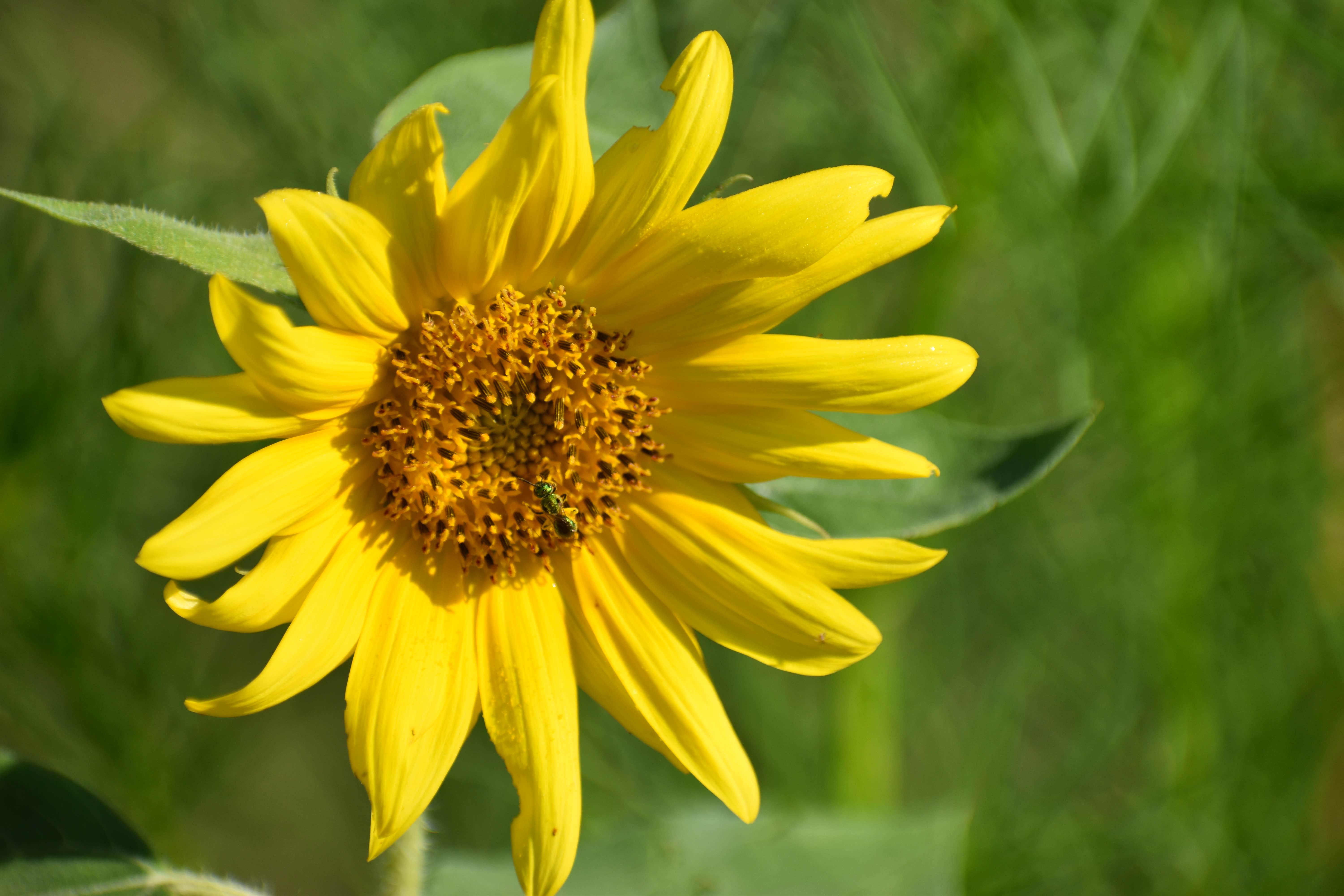 Camper-submitted photo at Indian Creek Campground near Lancaster, TN