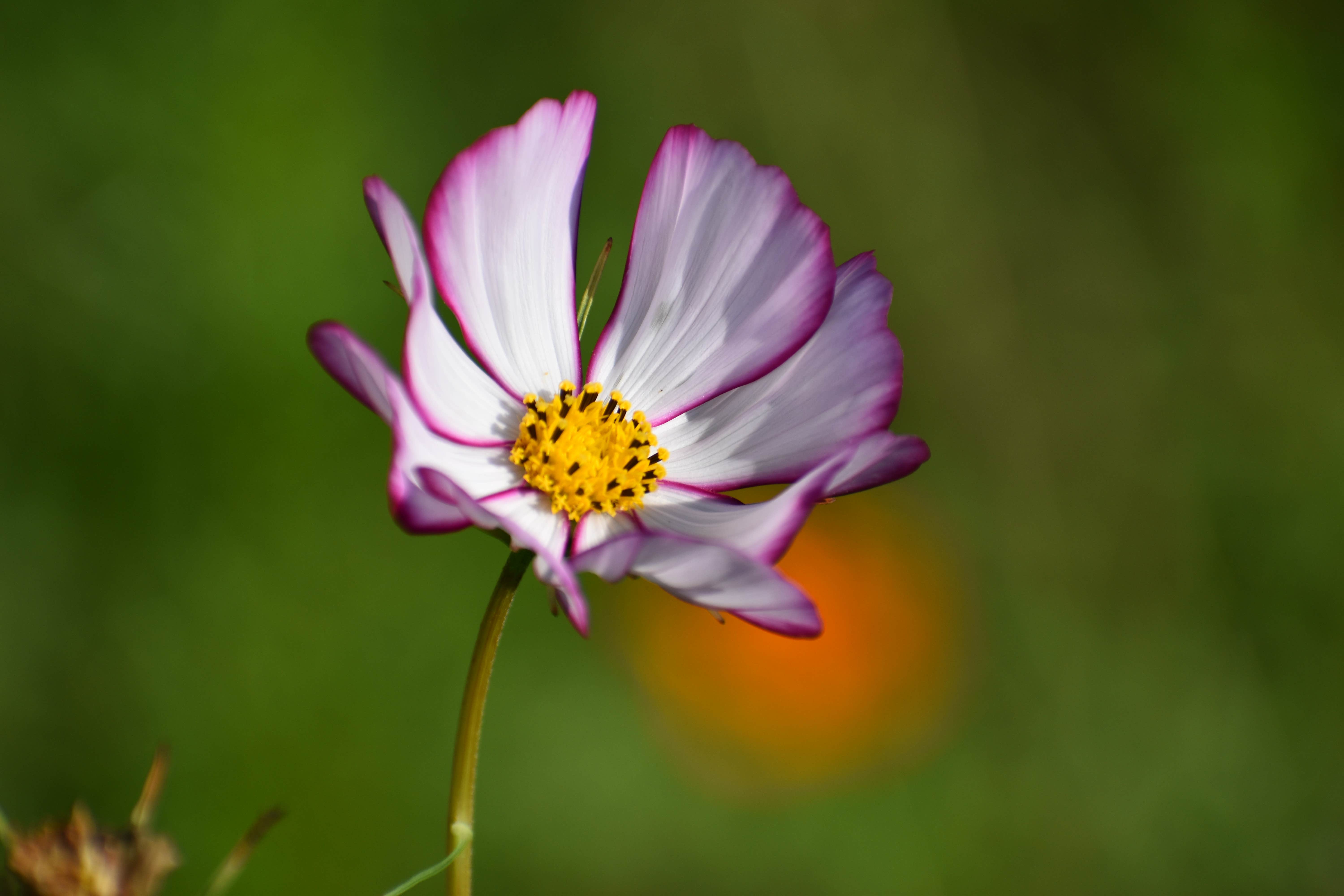 Camper-submitted photo at Indian Creek Campground near Lancaster, TN