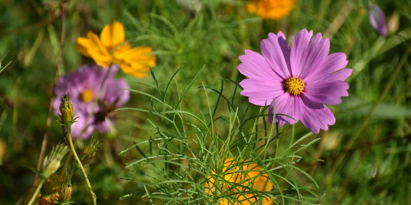 Camper submitted image from Indian Creek Campground