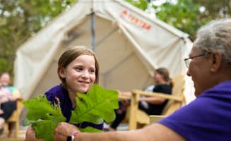 The Dyrt's photo at Tentrr Signature Site - Camp on 300 acres with Winery at Idle Acres near Fults, IL