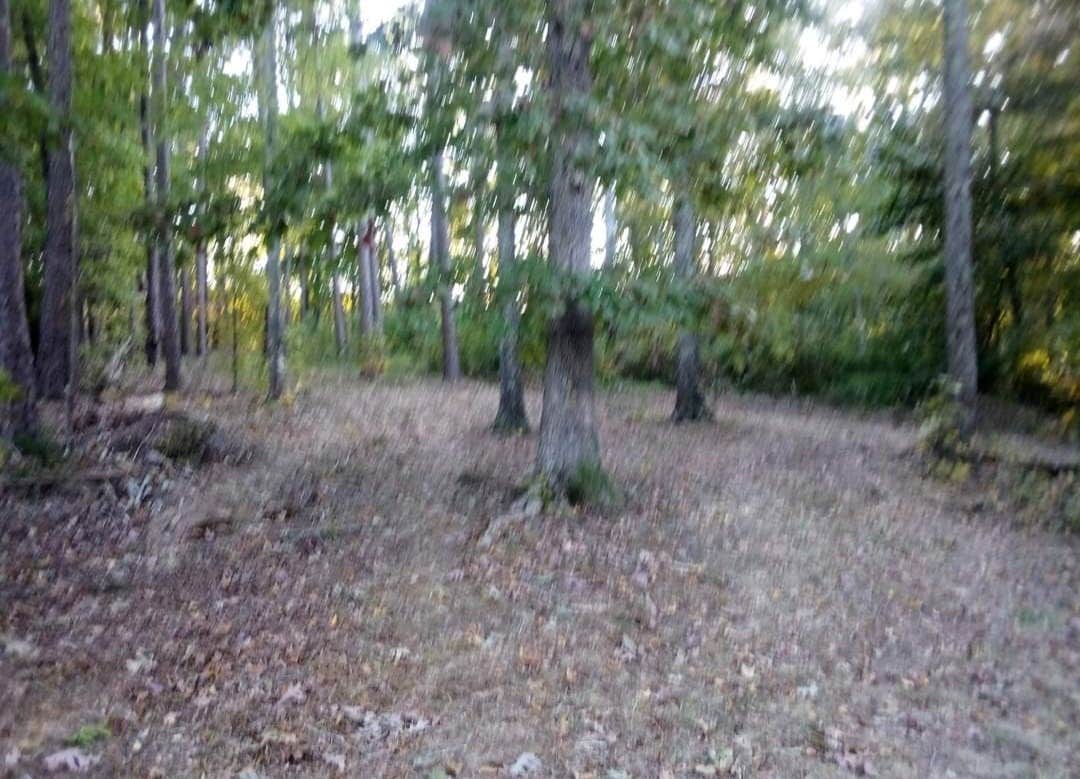 Camper-submitted photo at Callahan's Hideaway near Chatham, VA